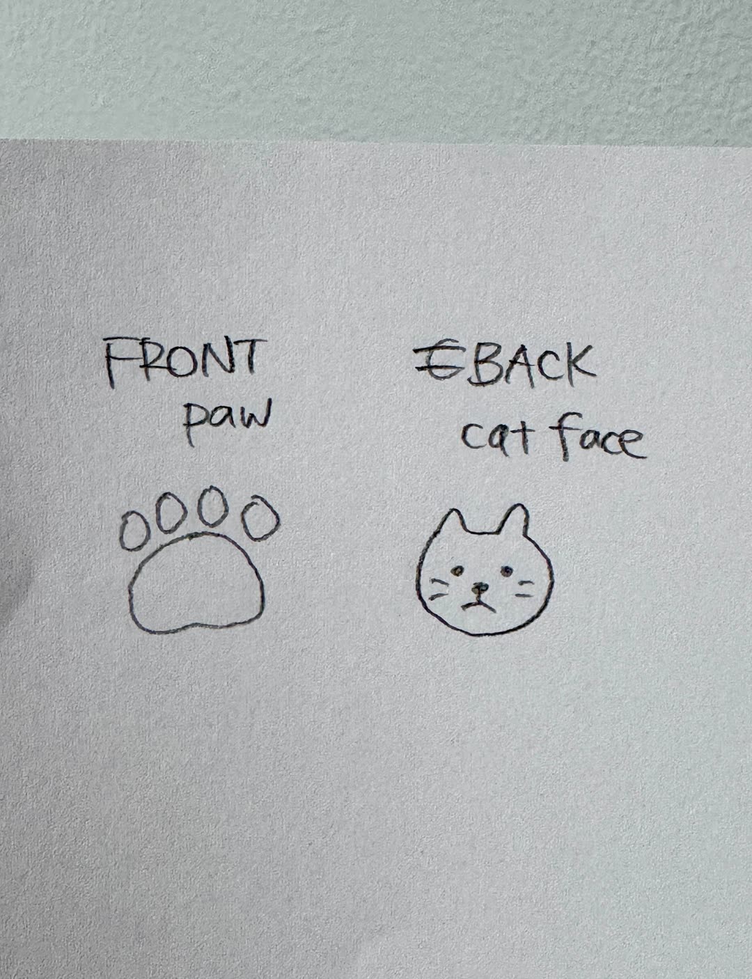 Hand-drawn sketch labelled front paw and back cat face